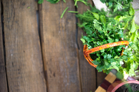 Arrayの写真素材