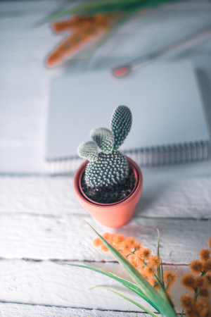Notepad on a wooden white background with cactusの写真素材