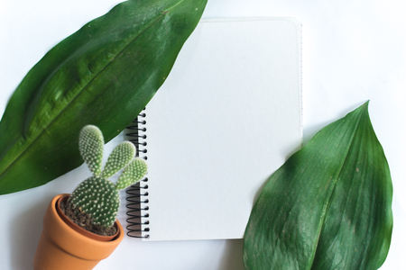 Notepad on white background with leaves of tropical plantsの写真素材