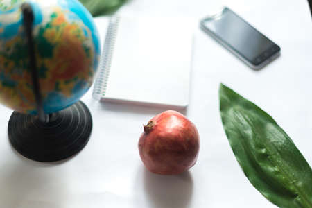 Notepad on white background with globe, green leaf of tropical plantの写真素材