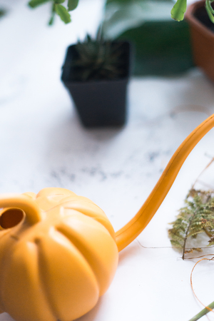 Yellow watering can for watering indoor plants on a white backgroundの写真素材