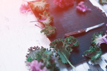 Decorative cabbage on a blackboard still lifeの写真素材