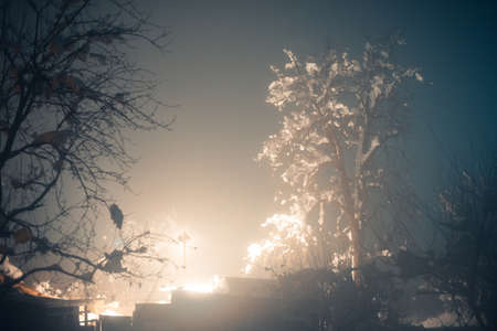 Winter foggy evening in a snow-capped villageの写真素材
