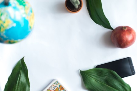 Globe on a white background with a leaf of a tropical plantの写真素材