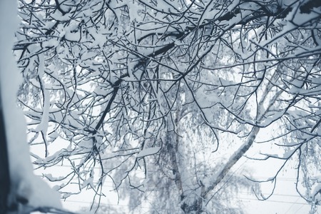 Winter snowfall in the village. Snowy collapse.の写真素材
