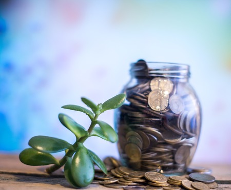 Money tree in a glass jar with coins on a blurred background of nature.