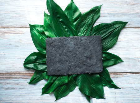 Black kitchen board on green leaves of a tropical plant.の写真素材