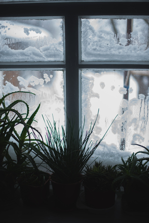 Vases in an old window in the snow.の写真素材