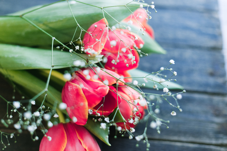 Tulips flowers on a black old wooden background. Flat lay.の写真素材