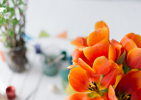 Blossoming red tulips on a white wooden background.の写真素材