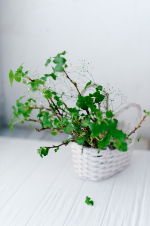 Branches with green leaves in a basket on a wooden background.の写真素材