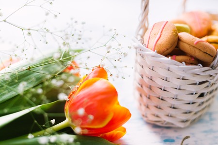 Blossoming tulips near a basket with macaroons.の写真素材