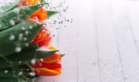 Blossoming tulips on a light wooden background. Spring background, concept.の写真素材
