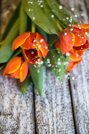 Tulips flowers on an old wooden background.の写真素材