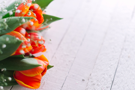 Blossoming tulips on a light wooden background. Spring background, concept.の写真素材
