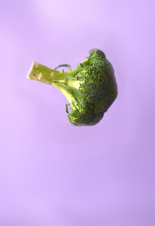 Fresh broccoli in the air on a purple background.の写真素材