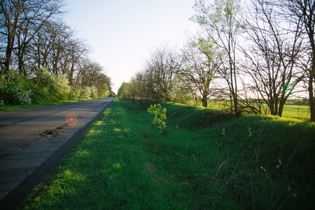 Summer sunny evening outside the city. The concept of travel.の写真素材