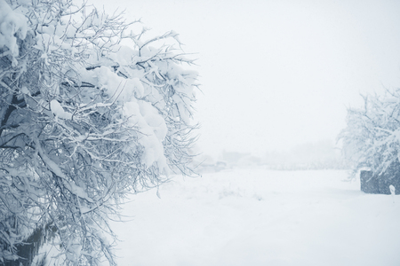 Winter snowfall in the village. Snowy collapse.の写真素材