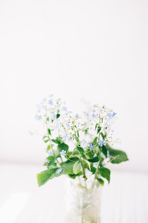 A bouquet of white flowers on a white background.の写真素材