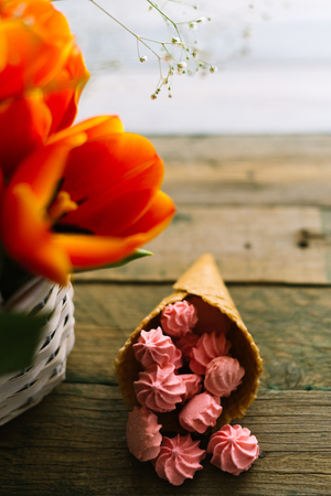 Blooming tulips near the horn with pink marshmallows.の写真素材