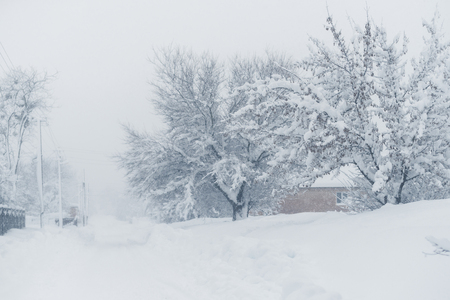 Winter snowfall in the village. Snowy collapse.の写真素材