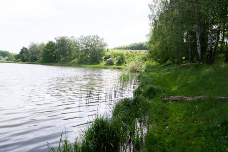 Summer morning landscape on the nature near the river.の写真素材