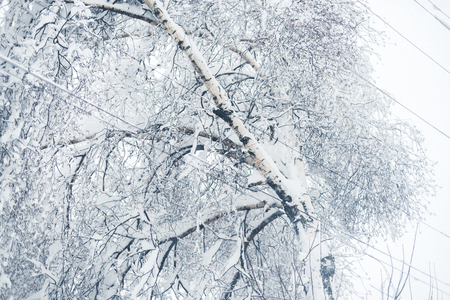 Winter snowfall in the village. Snowy collapse.の写真素材