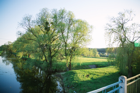 Spring evening sunny landscape near the river.の写真素材
