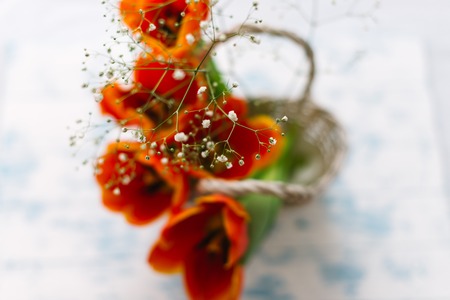 Tulips in a basket on a white wooden background.の写真素材