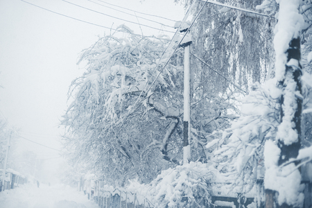 Winter snowfall in the village. Snowy collapse.の写真素材