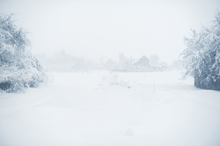 Winter snowfall in the village. Snowy collapse.の写真素材