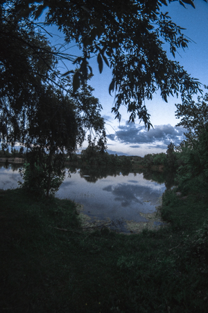 Evening summer landscape on the pond.の写真素材
