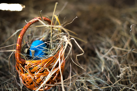 Easter eggs in a basket on a hay with a blurred background.の写真素材