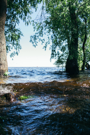 Summer landscape on a sunny day by the river.の写真素材