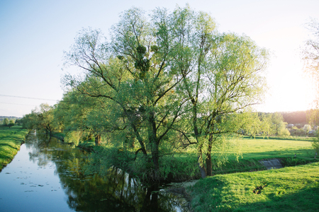 Spring evening sunny landscape near the river.の写真素材