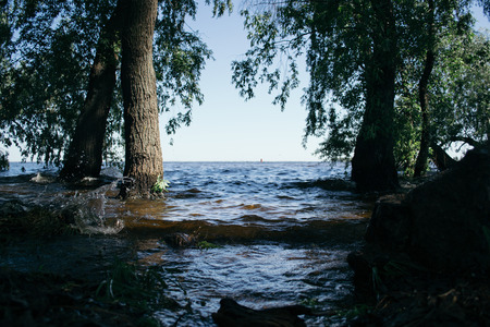 Summer landscape on a sunny day by the river.の写真素材