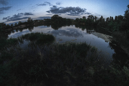 Evening summer landscape on the pond.