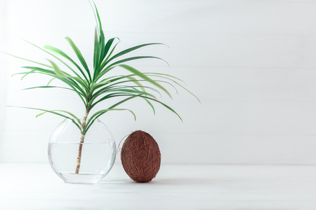 A branch of a palm tree in a glass vase with coconut.の写真素材