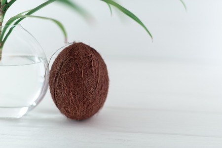 A branch of a palm tree in a glass vase with coconut.