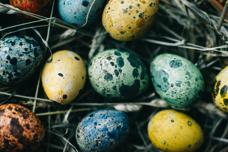 Quail Easter eggs in a basket on the hay. Easter concept.の写真素材