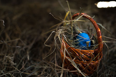 Easter eggs in a basket on a hay with a blurred background.の写真素材