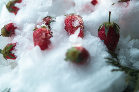 Frozen strawberries in the snow and ice.の写真素材