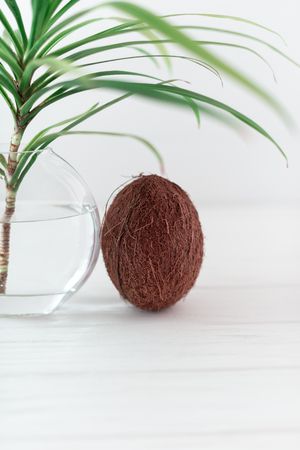 A branch of a palm tree in a glass vase with coconut.の写真素材