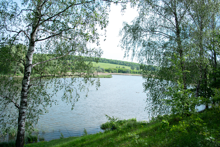 Summer morning landscape on the nature near the river.の写真素材