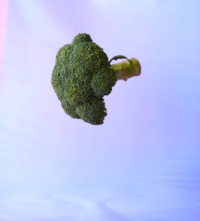 Fresh broccoli in the air on a purple background.の写真素材