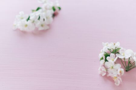 Apple flowers on a pink wooden background.の写真素材