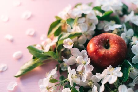 Apple flowers on a pink wooden background.の写真素材