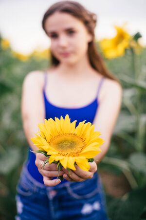 Beautiful girl on the field with sunflowers in short shorts and a vest.の写真素材