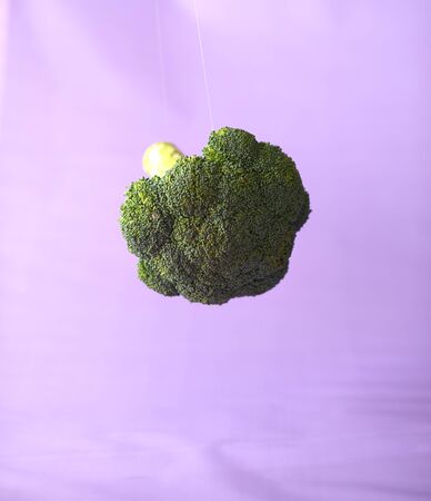 Fresh broccoli in the air on a purple background.の写真素材