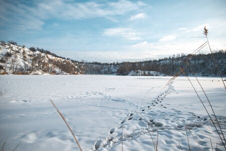 Winter park in the snow in the evening.の写真素材